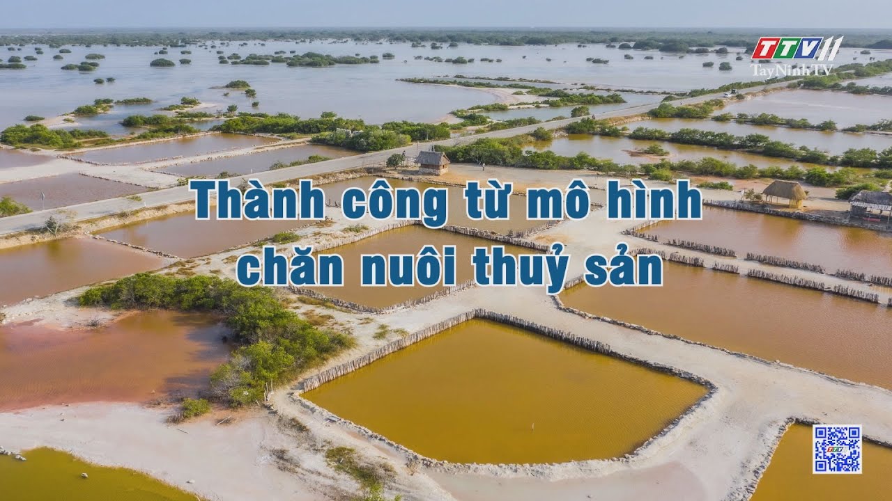 Thành công từ mô hình chăn nuôi thuỷ sản | NÔNG NGHIỆP TÂY NINH | TayNinhTV